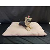 Cama almofada, colchonete para raças médias, cães e gatos