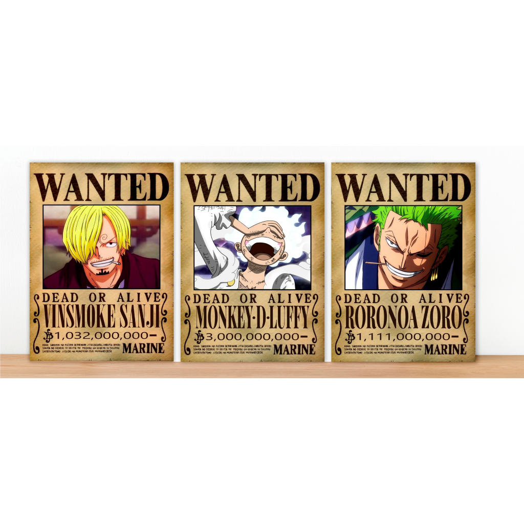 Kit 3 Quadros Decorativos One Piece Placas Decorativas Recompensa Anime Wanted Tamanho 19X29 Coleção Exclusiva Já Acompanha Dupla Face