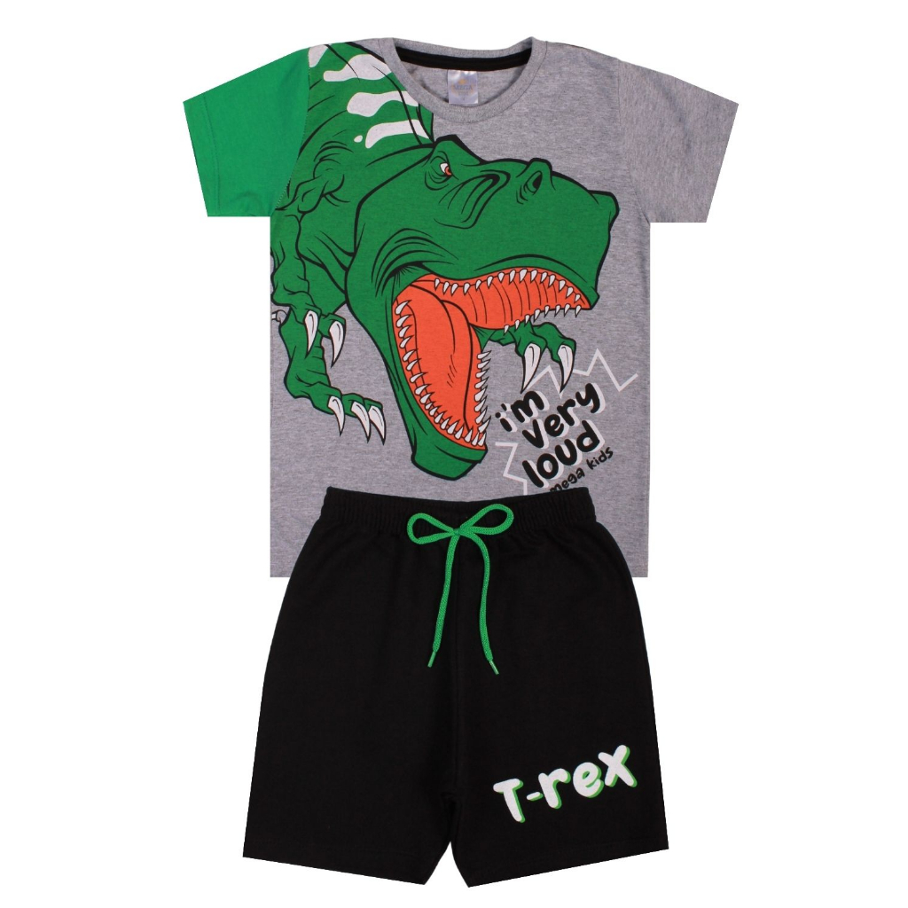 Conjunto Infantil e Juvenil Menino Masculino 2 ao 14 - Pronta Entrega