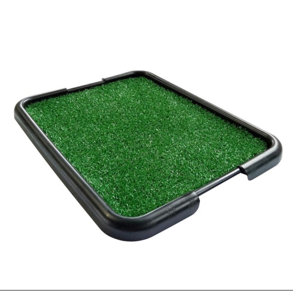 Tapete Sanitário Canino Higienico Banheiro Com Grama Ecologica Pet Care