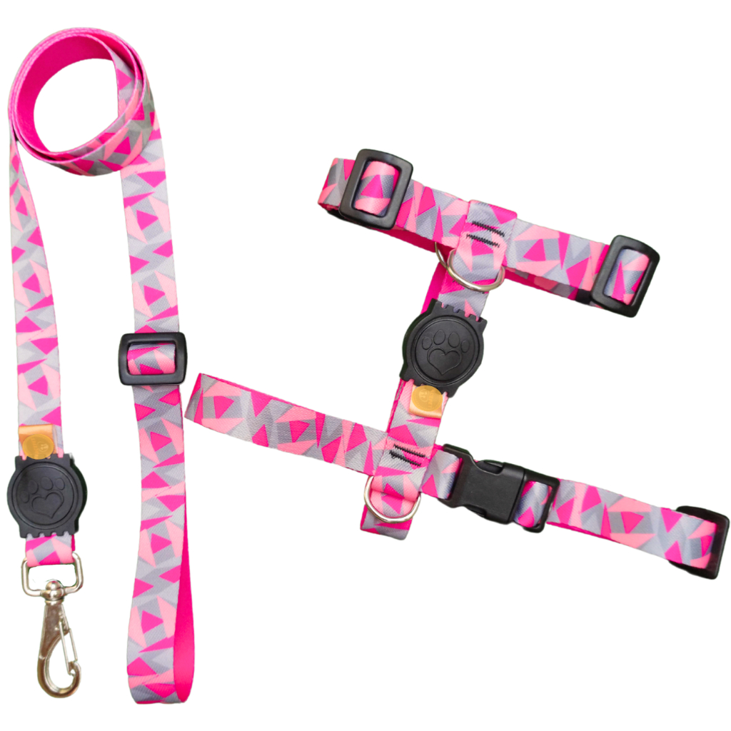 Coleira Com Guia Ajustável Para Cachorro Porte Pequeno e Médio