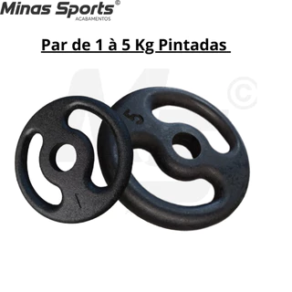 Par de Anilha Pintada - 1 Kg a 5 Kg / Treino Musculação Peso Academia Fortalecimento Muscular C/ 2 Un