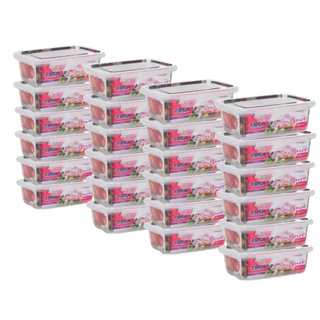 Kit 24 Potes Plásticos 750ml Para Freezer E Microondas Marmitas Fitness com Trava BPA Free Grande