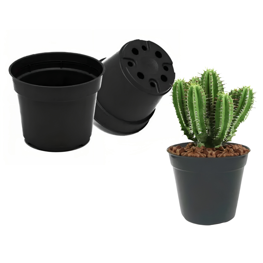 Conjunto de 60 Vasos Plástico Pote Redondos p/ Suculenta Plantas Artificiais 150ml