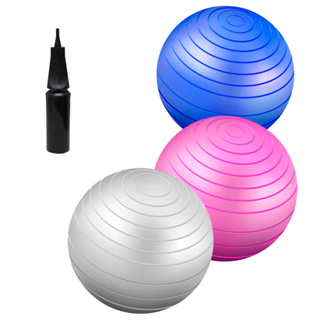 Bola De Pilates Suíça 65 Cm Com Bomba Ginastica Yoga