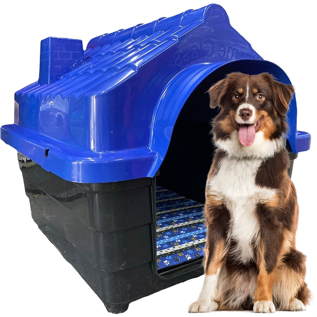 Casa Casinha Plastica Cachorro Numero 5 + Colchao