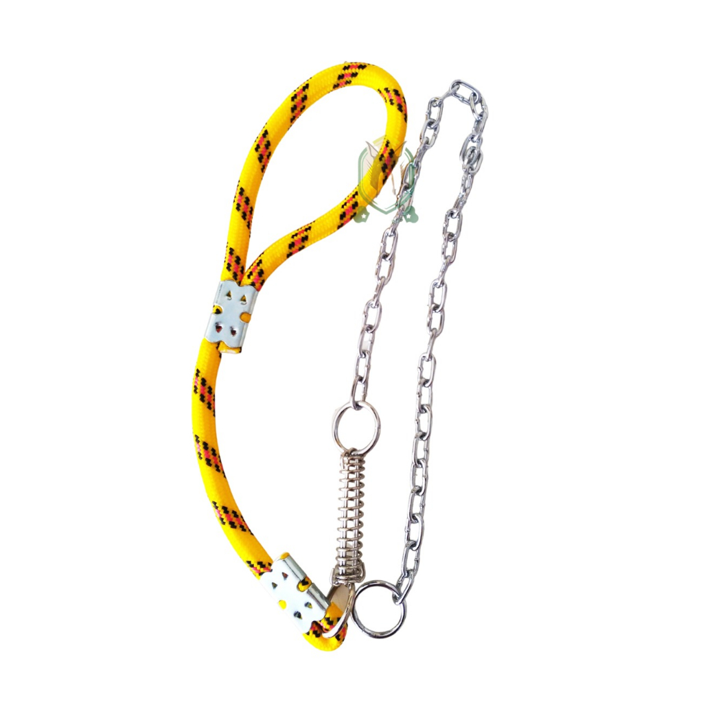 Guia de corrente para cachorro pitbull american pit monster pastor ...