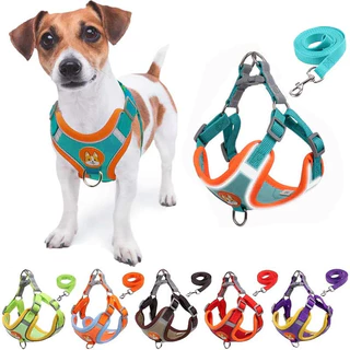 Conjunto de Guia + Coleira tipo Colete para pet pequenos e médios Confortável Kit Coleira e Guia
