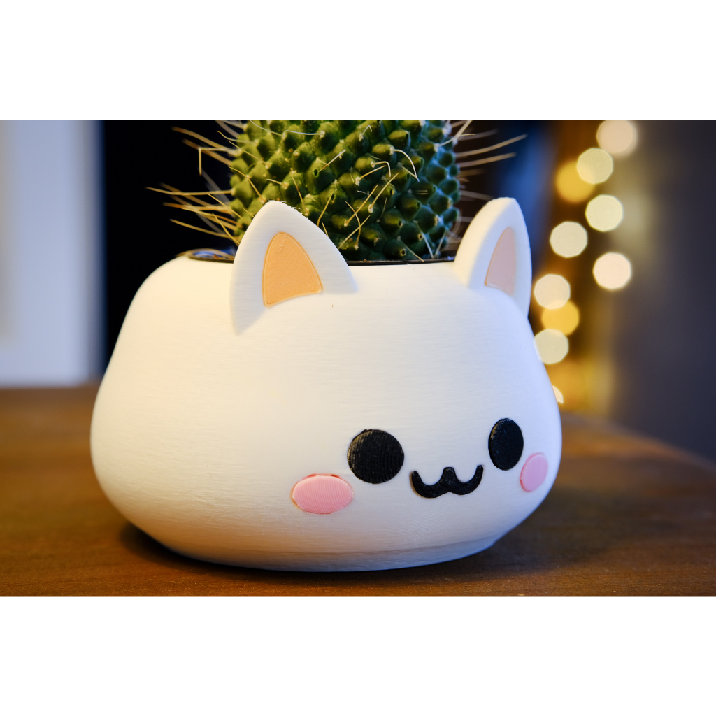 Vaso Gatinho Cat Decorativo Vasinho Suculentas