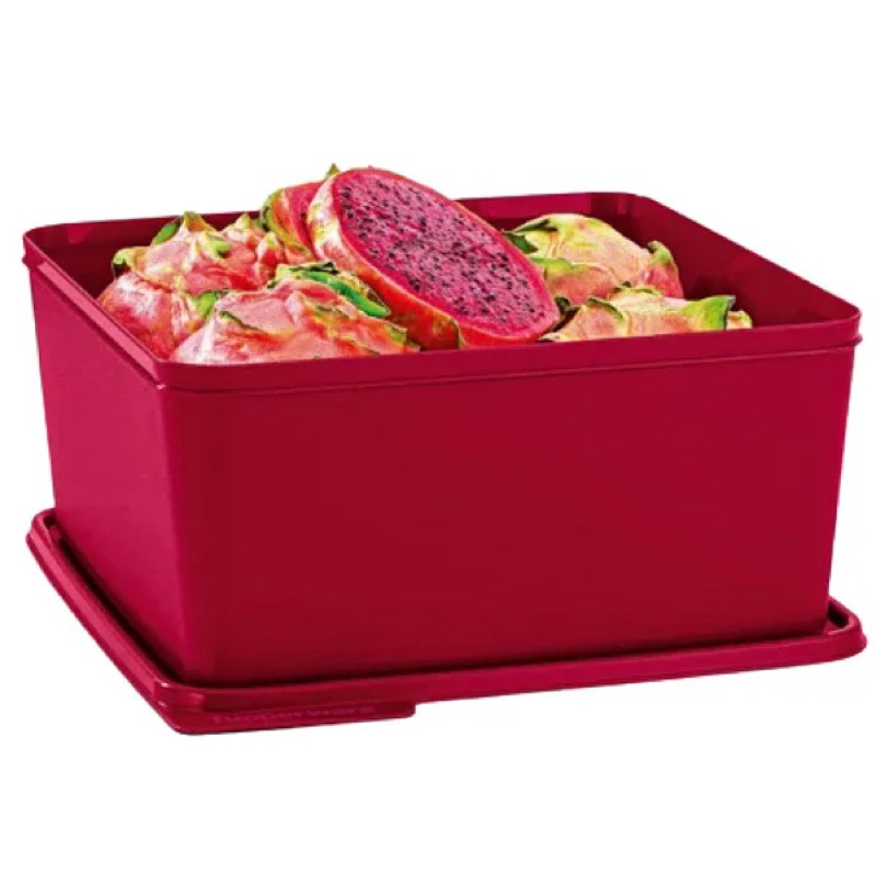 Basic Line Tupperware 5 litros | Shopee Brasil