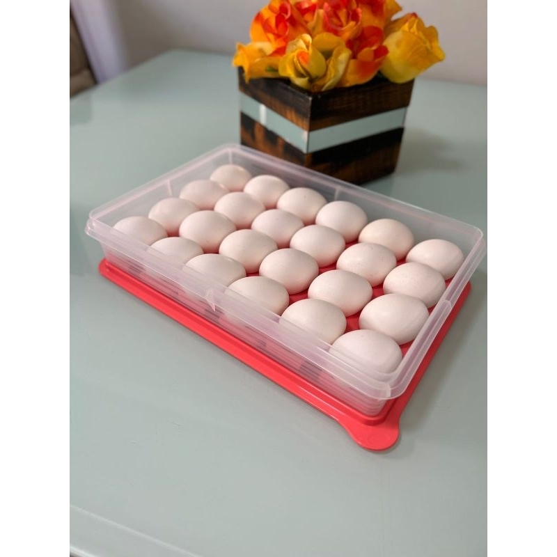 Tupperware Porta Ovos Refri Box Plus Translúcida Com Tampa Coral