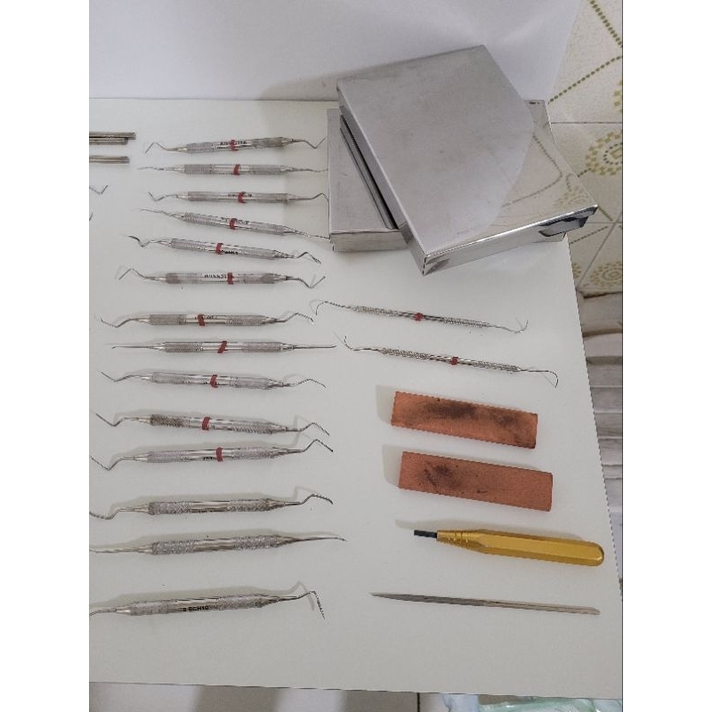 Juegos De Ciencias | Juego De Ligamento Periodontal