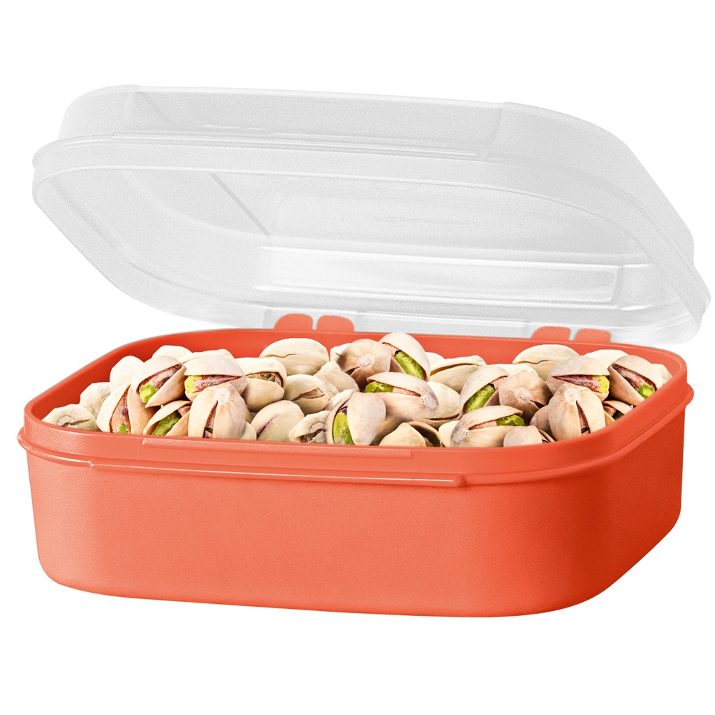 Tupperware Visual Box Pequeno 1,1 Litros | Shopee Brasil