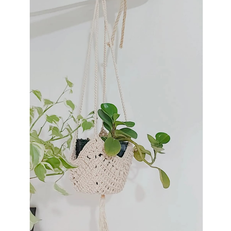 Suporte para Vaso de Plantas em Crochê tamanho unico