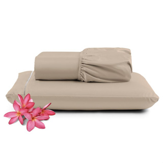 Kit Roupa Cama Jogo De Lençol Solteiro Ponto Palito 2 PC AVELA 100% Algodão Clinica Hotel Presidio LISO