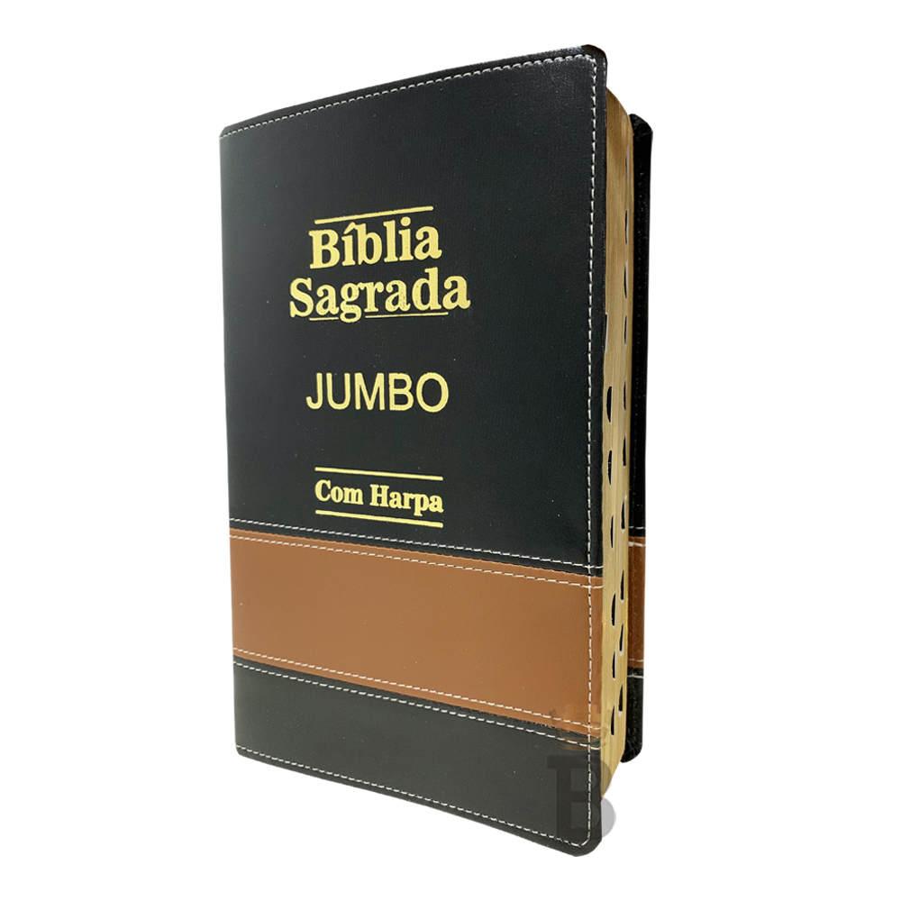 Livro: A Bíblia Sagrada e a Estratégia do Xadrez