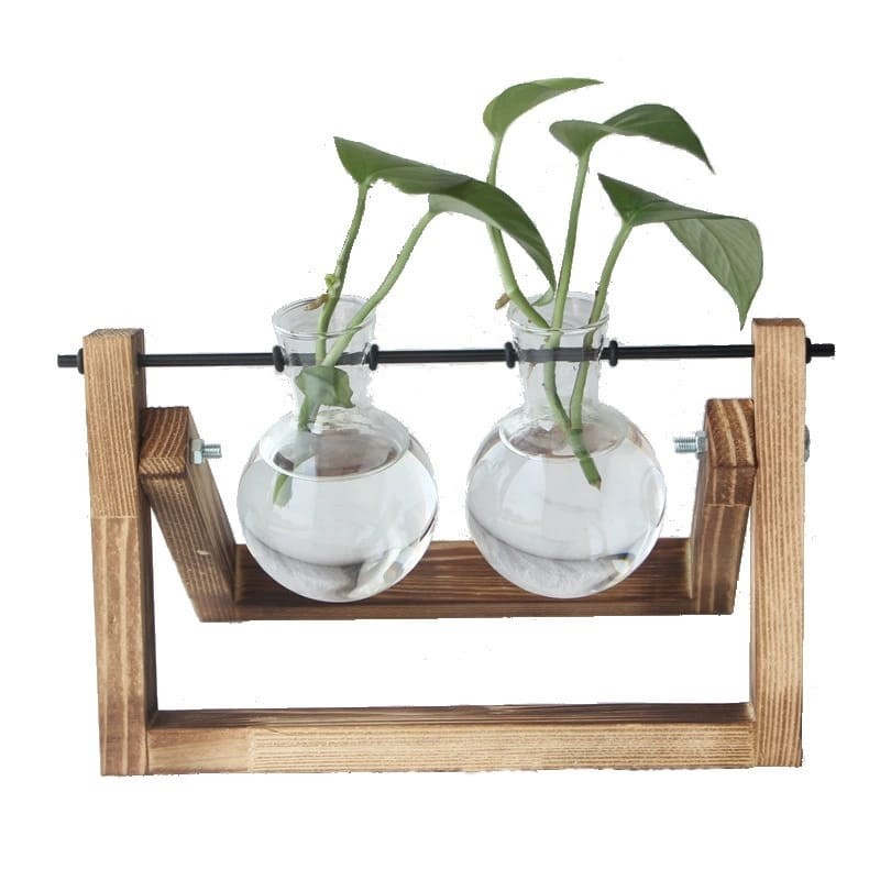 Vasos P/ Plantas Hidroponia DUPLO Decoração Sala Escritório