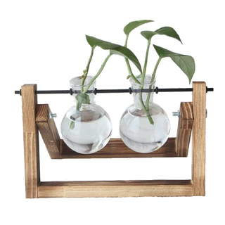 Vasos P/ Plantas Hidroponia DUPLO Decoração Sala Escritório