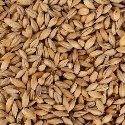 5kg Malte Pilsen Nacional Agrária
