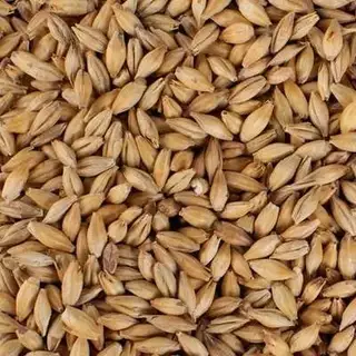 5kg Malte Pilsen Nacional Agrária