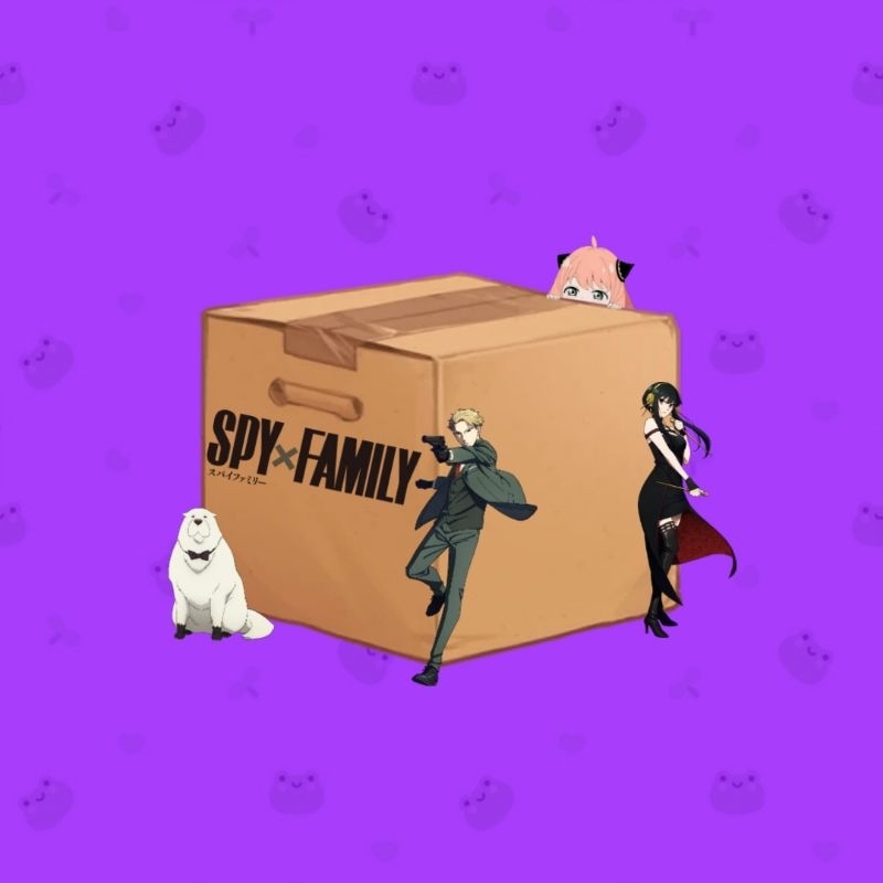 Box Spy x Family | Acessórios | Anime