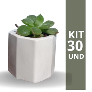 Kit 30 Vasos de Gesso Decorativo Vasinhos Para Decoração Porta Velas - NÃO ACOMPANHA SUCULENTA