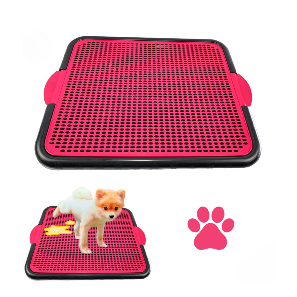 Sanitário Canino Tapete Higiênico Banheiro Educa Pet Care Tapete Para ...