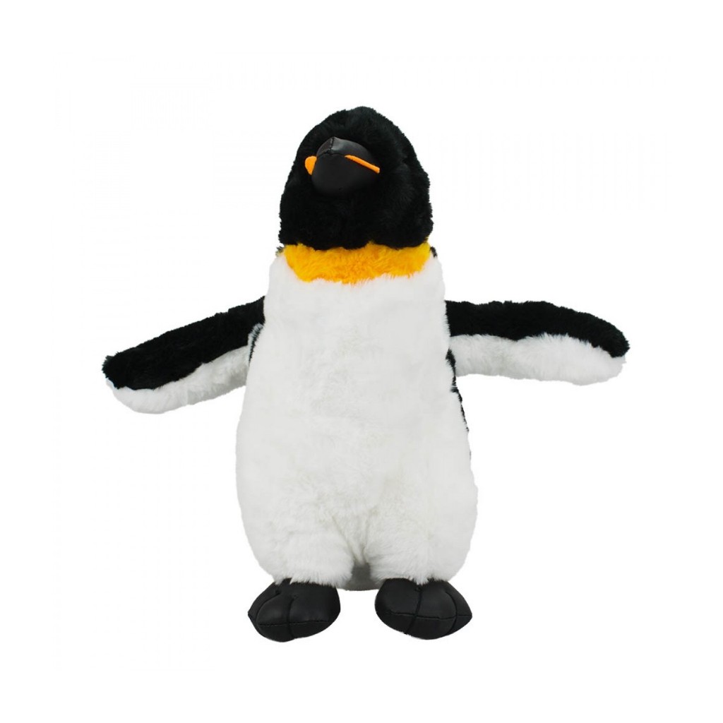 pinguim tem joelho em Promoção na Shopee Brasil 2023