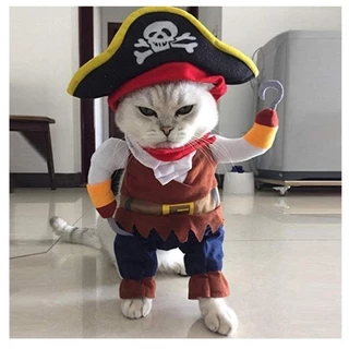 Roupa pet fantasia Pirata para cachorro e gato cosplay pirata pet carnaval halloween