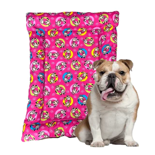 Colchonete caminha cachorro Medio