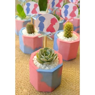 30 vasinhos + tags. lembrancinhas chá de bebê , chá revelação ,aniversário, casamento.