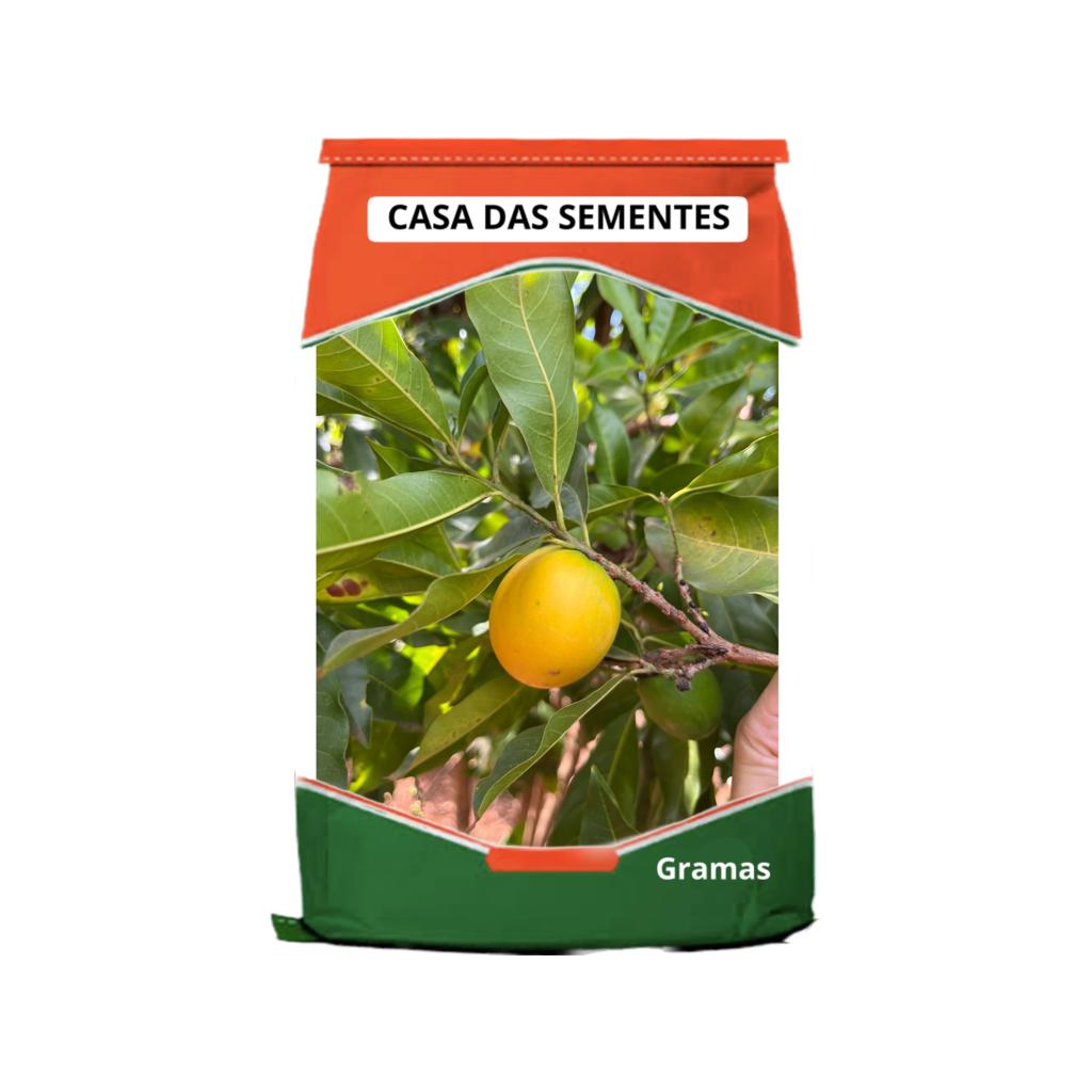 Abiu Amarelo Original 12 Semente