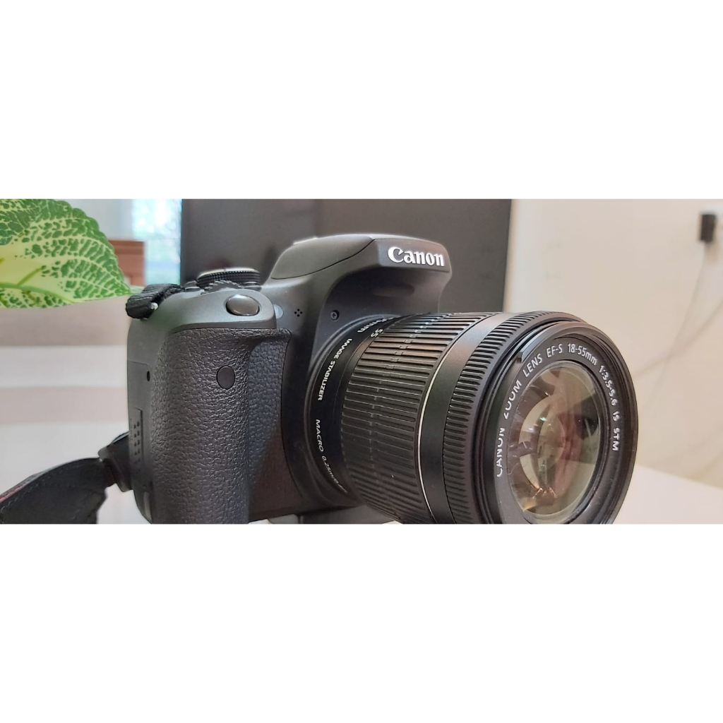 Jinsiy aloqa va ehtirosli opish