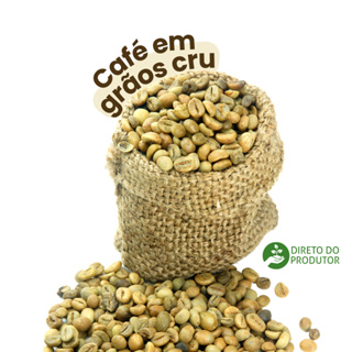 Café conilon em grão cru  matéria-prima para torrar - 100