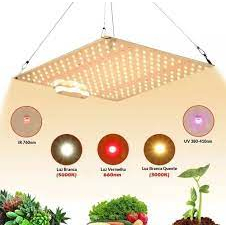 Painel Led Quantum Board Samsung Led Lm281b 650w 65w Origina | Shopee ...