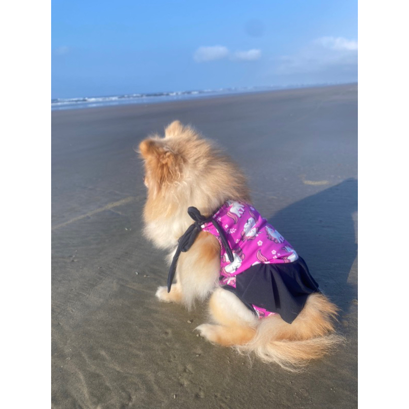 Moda praia best sale para cachorro