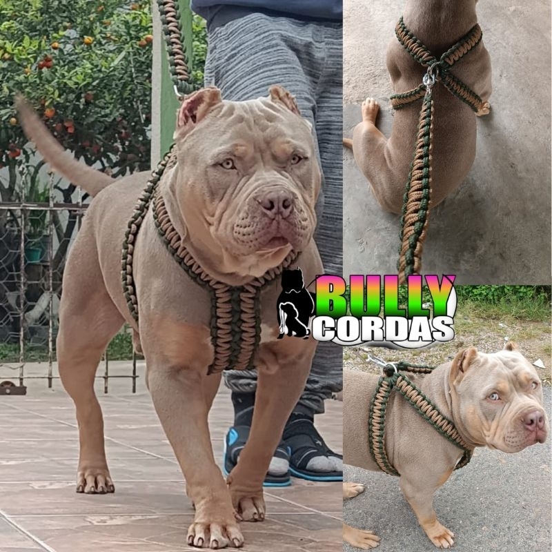 Peitoral Para Cachorro - Reforçado para Cães de Grande Porte