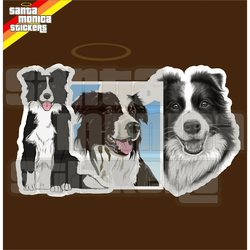 Adesivo Decorativo De Porta - Cachorro Border Collie