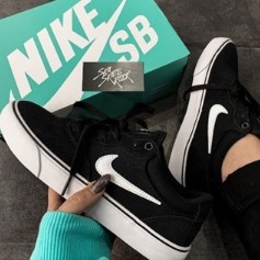 Tenis nike best sale skate masculino