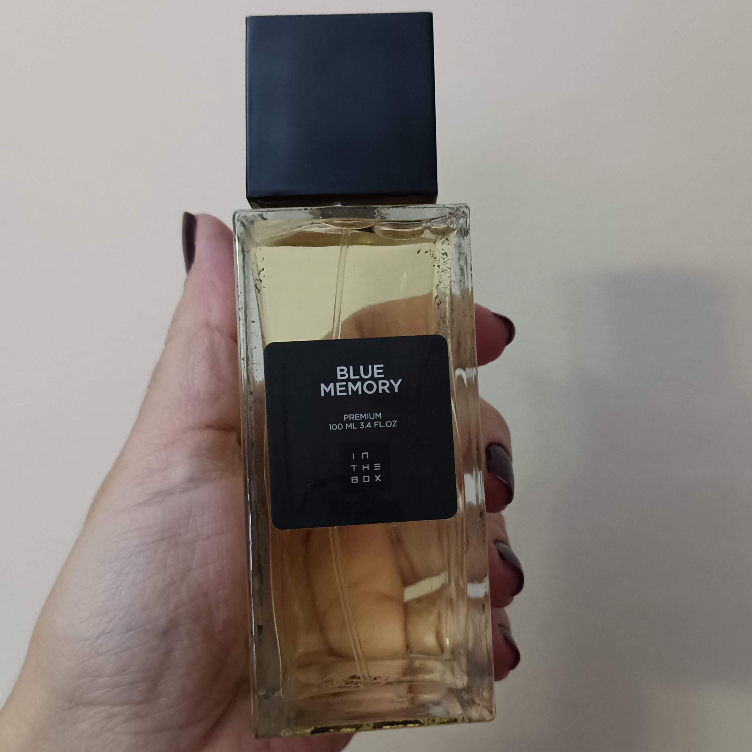 Blue Memory Fragrancia Masculina | Shopee Brasil