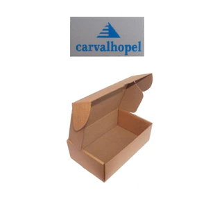 100 Caixas de papelão auto montavel C230XL160XA025