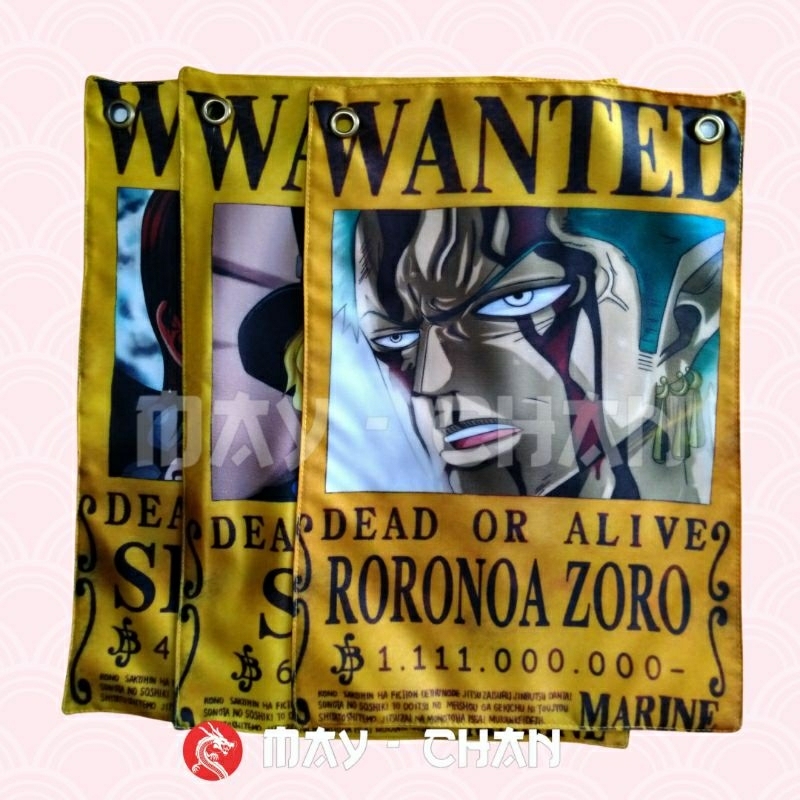 Zoro = Continent Cutter? : r/OnePiece