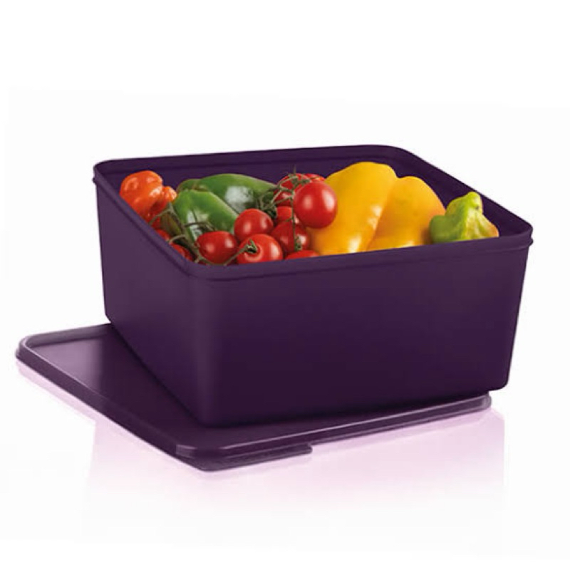 Tupperware Basic Line 5 litros Roxo | Shopee Brasil