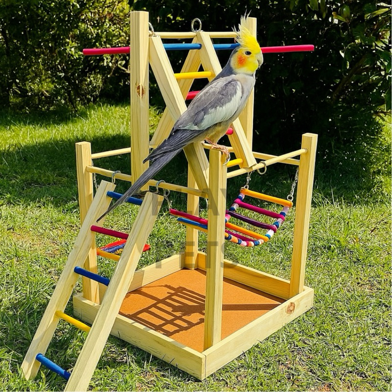 Parquinho Playground S, Para Calopsita Com Brinquedo E Balanço poleiro ...