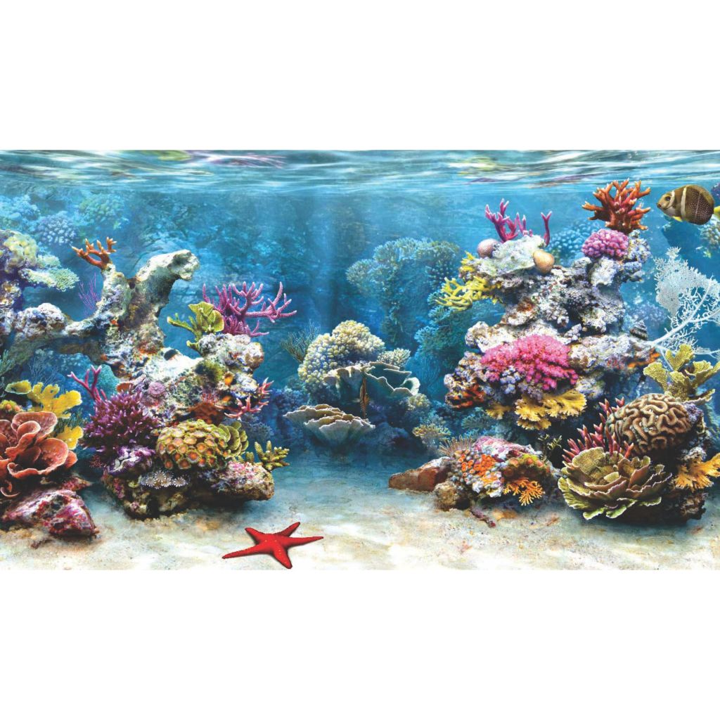 Painel Adesivo Aquário Peixes 120x70cm Fundo Do Mar Animais Aquáticos ...