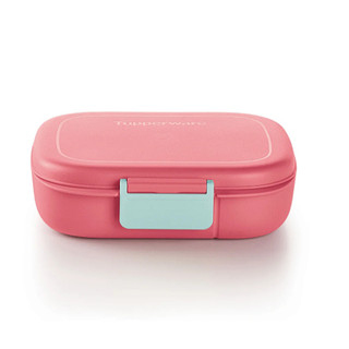 kit da tupperware rosa em Promoção na Shopee Brasil 2025