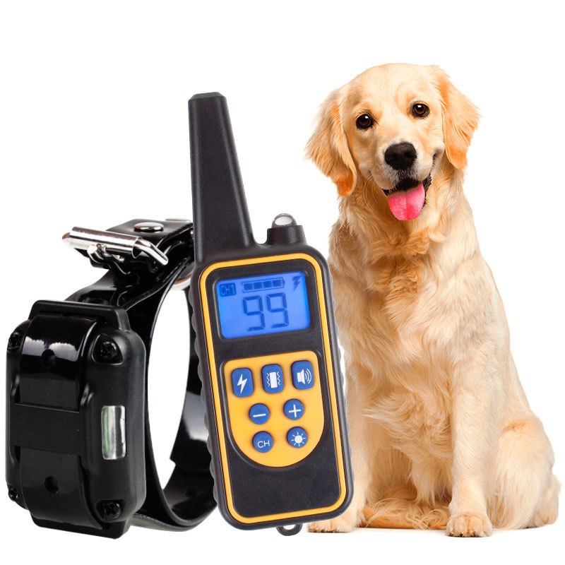Coleira para adestramento de Cães cachorro Com Controle Remoto 3 ...