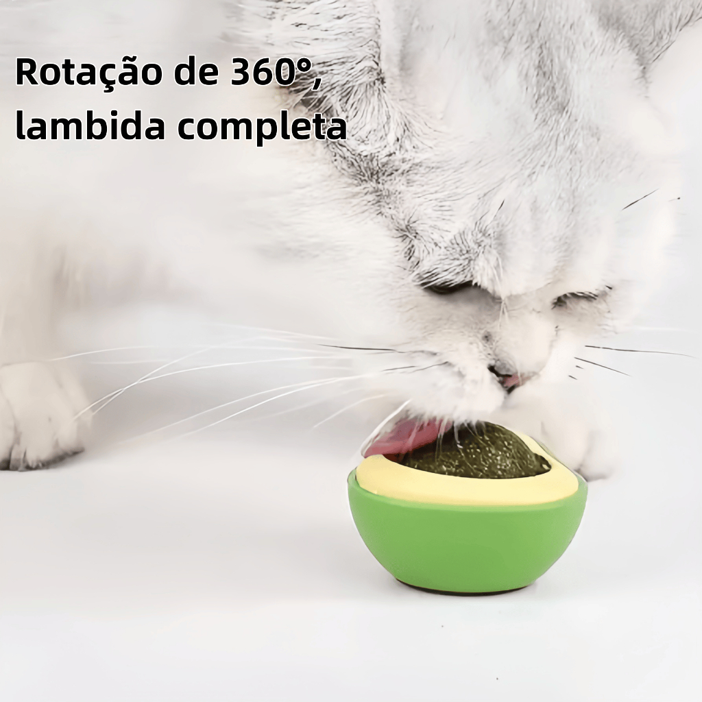 Kit Abacate Catnip para Gatos