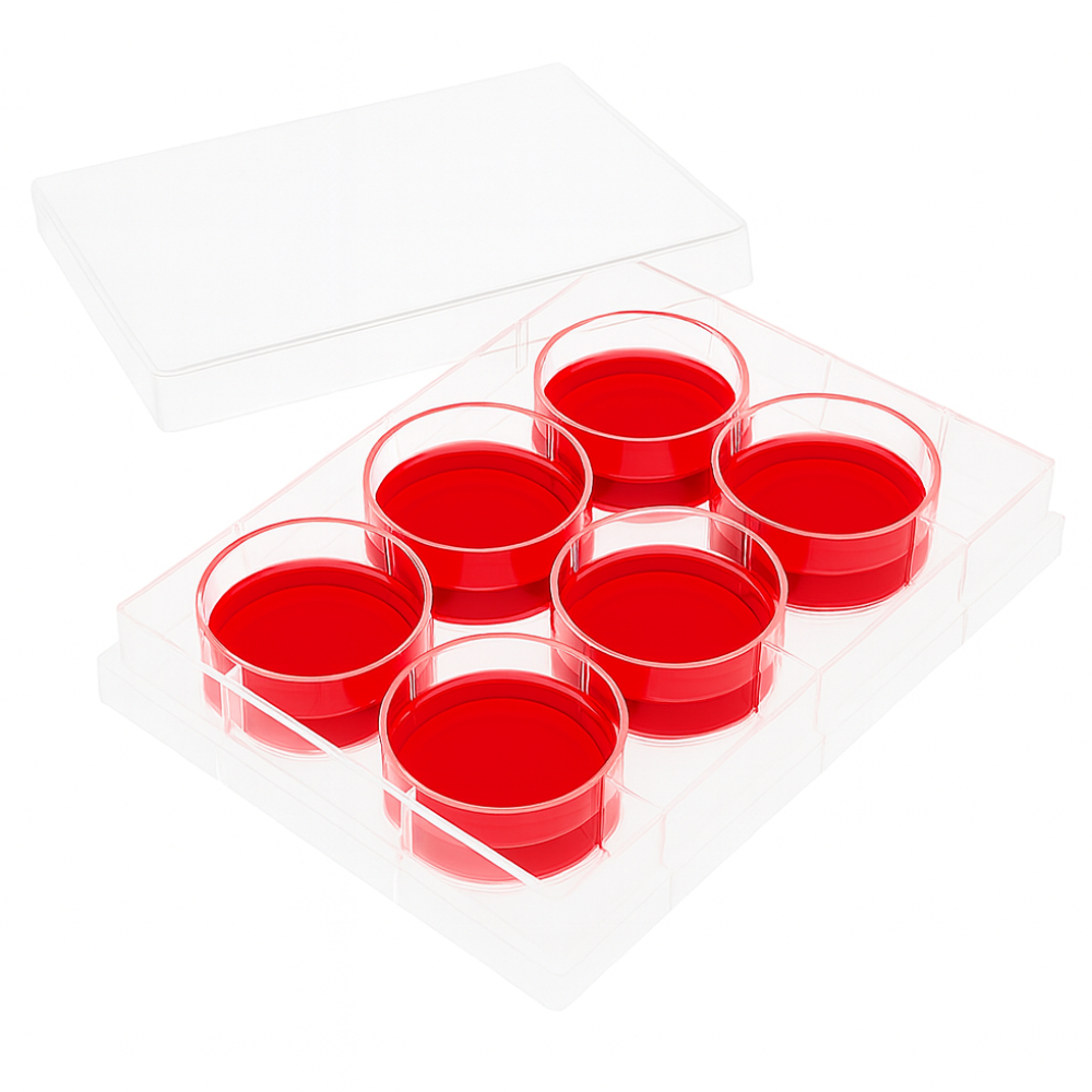 Kit com 10 Placas de 6 Poços Para Cultura De Células com Fundo Chato ...