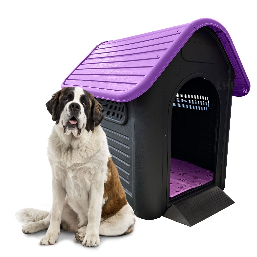 Casinha Plastica Cachorro N9 + Colchão Gigante Pet Casa Cães Porte